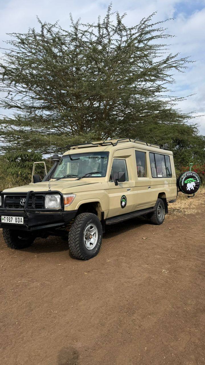 Safari photo 2